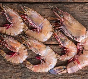 shell on/off queen prawns per kg