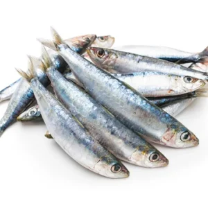 sardines