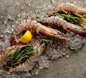 special queen prawns