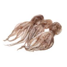 Block Octopus
