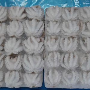 Block Octopus