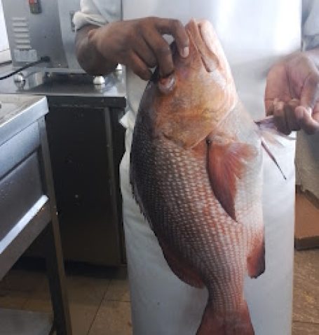 ceer fish proceing image